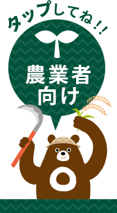 簡易保険・JA共済　平成18年度版（大型本） 簡易保険・JA共済 平成18年度版（大型本）