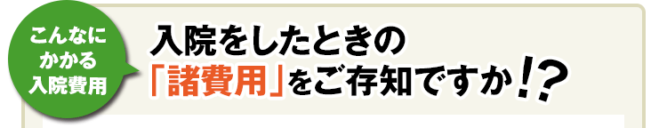 Ȃɂ@p @Ƃ́upvmł!?