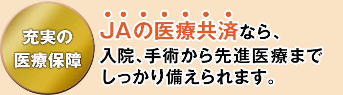 [̈Õۏ JÄËςȂA@ApiÂ܂ł܂B