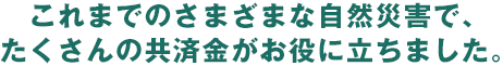܂ł̂܂܂ȎRЊQŁA̋ϋɗ܂B