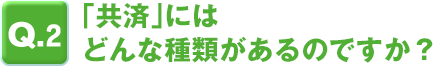 Q.2 uρvɂ͂ǂȎނ̂łH